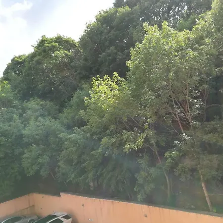 Sunrise Complex * Zlate písky